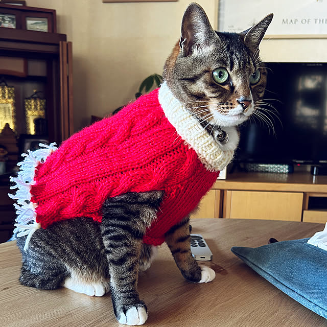 suemonta14さんの実例写真