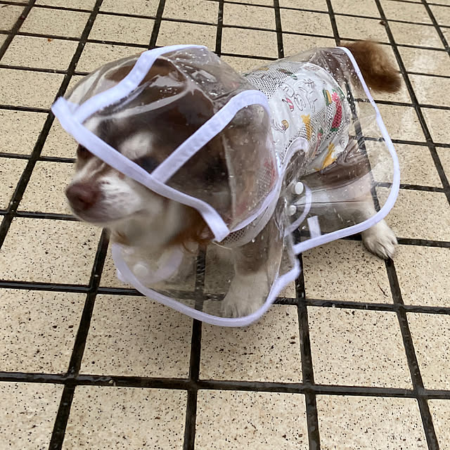 chIoeさんの部屋