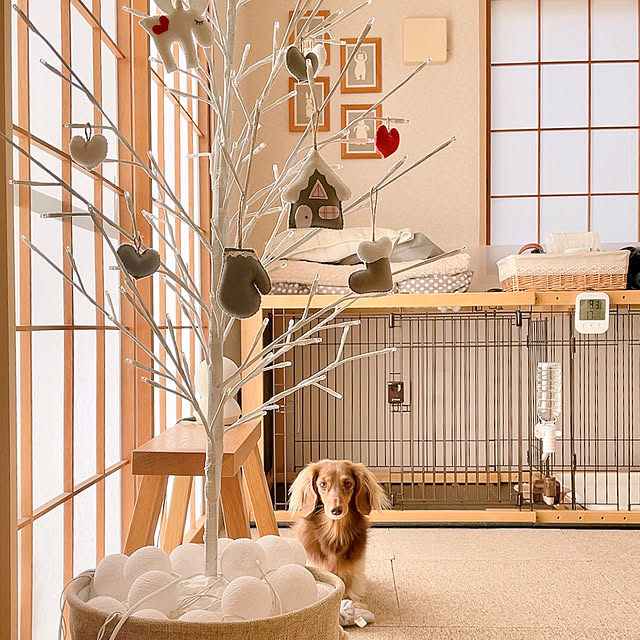 rinoさんの実例写真