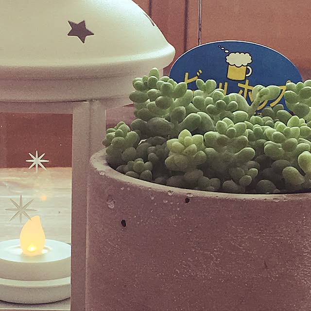 cloverさんの実例写真