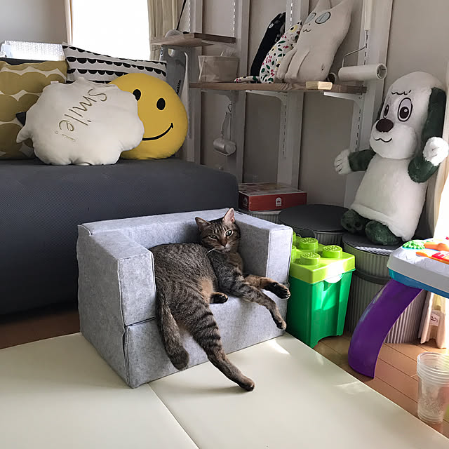 yuki0511さんの実例写真