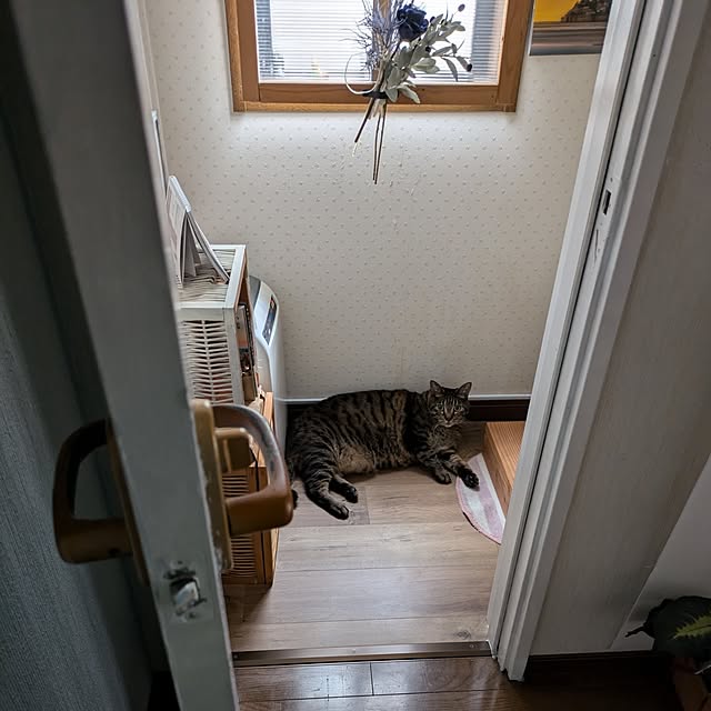 mori_6_12さんの部屋
