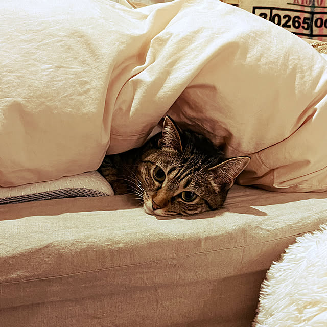 Mさんの部屋