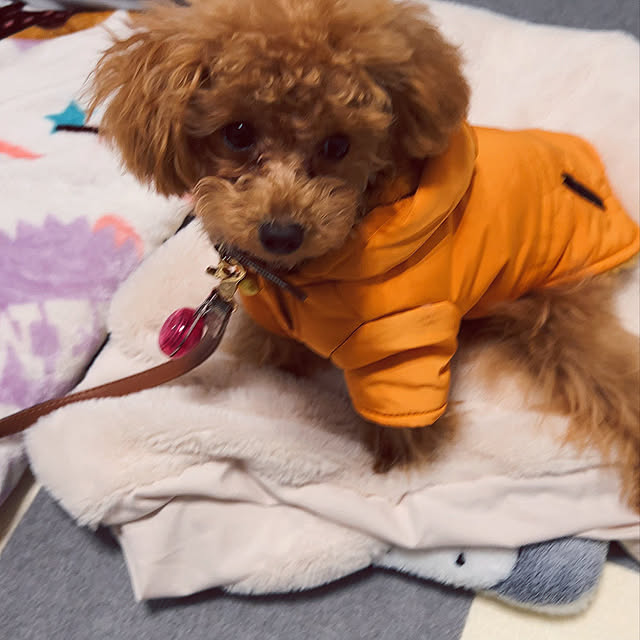 makiさんの実例写真