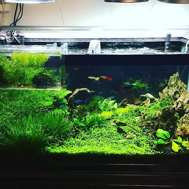 o.kanさんの部屋