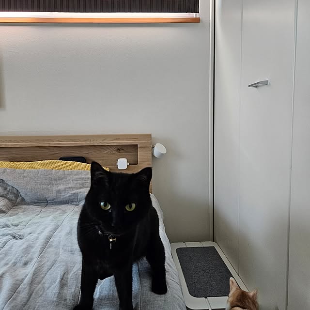 koyurizuさんの部屋