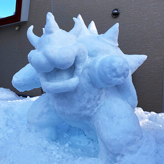 a_skrrさんの実例写真