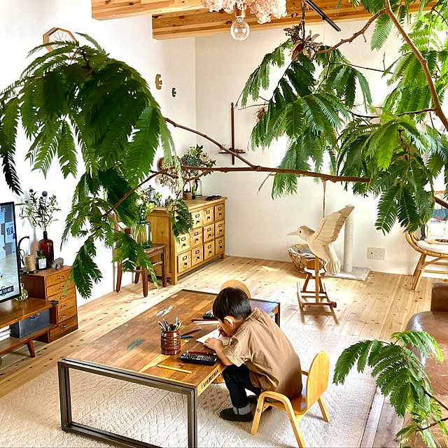 green.green.greenさんの実例写真