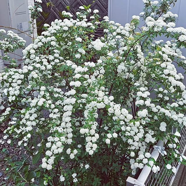 mocomocoさんの部屋