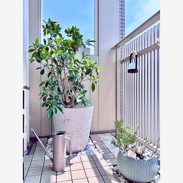 teracoyaWORLDさんの部屋