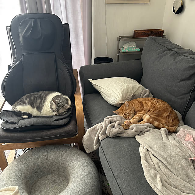 Atelier.mさんの部屋