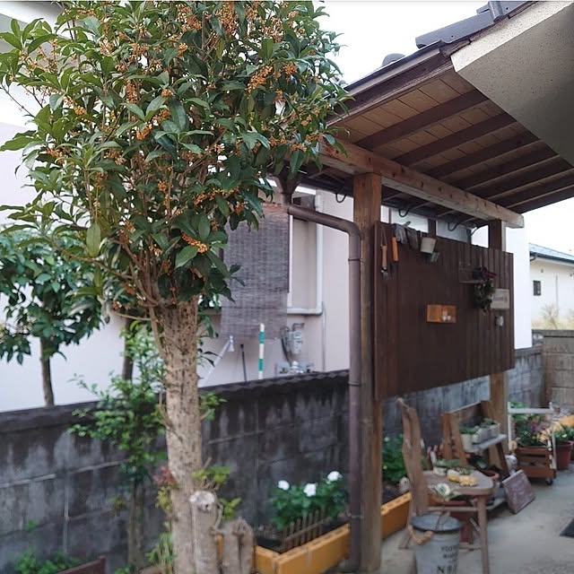 fukuさんの実例写真