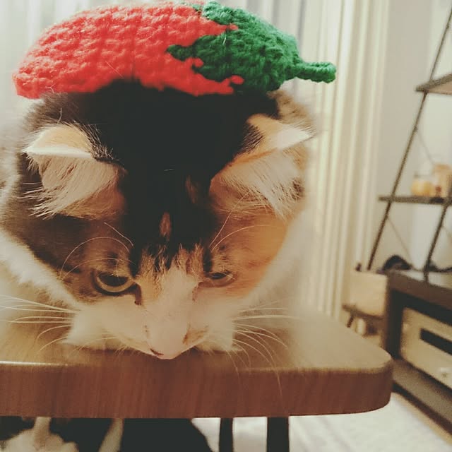 sumosarozaさんの実例写真