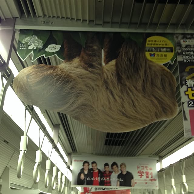 slothさんの実例写真