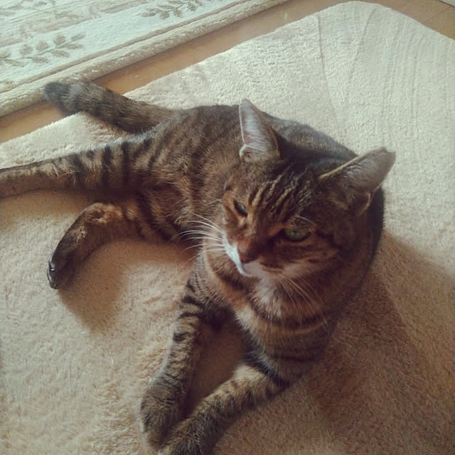 lilyさんの実例写真