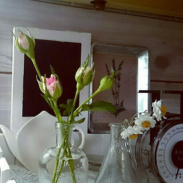 OBTERNIR88filerさんの実例写真