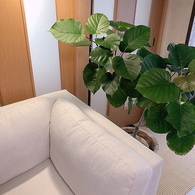 kyoko1124koさんの部屋