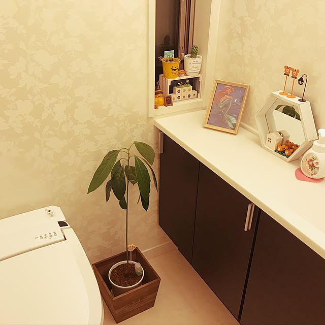 Cocoaさんの実例写真