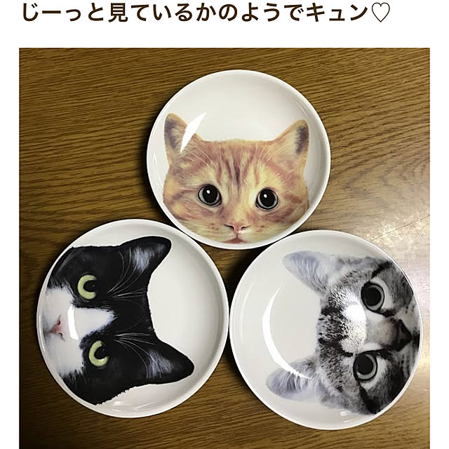 powakyonさんの実例写真