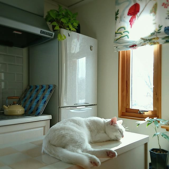 mimiさんの実例写真