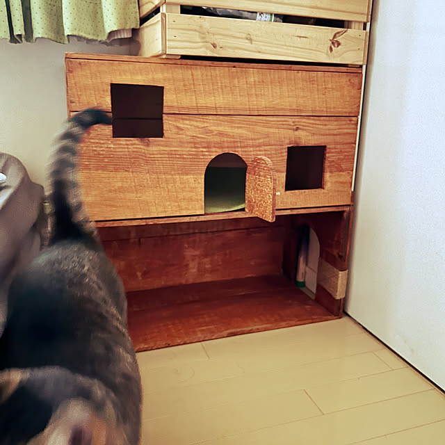 suemonta14さんの部屋