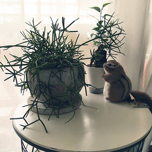 keikoさんの実例写真