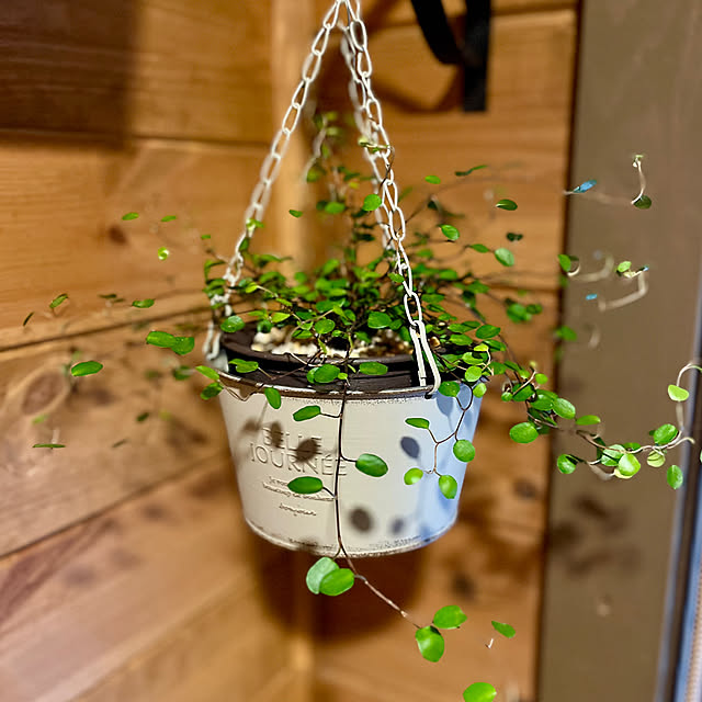 minakoさんの部屋