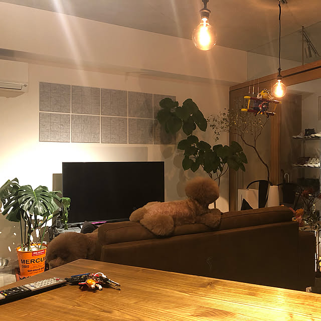 hathiko8さんの実例写真