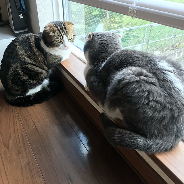 tansukeさんの実例写真