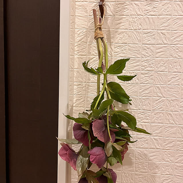 kojimasaさんの部屋
