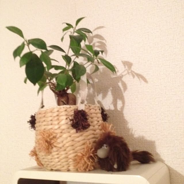 shironaoさんの実例写真
