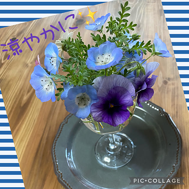 Smilkazuさんの実例写真