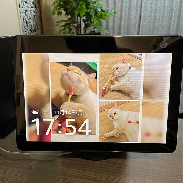 aureaさんの実例写真