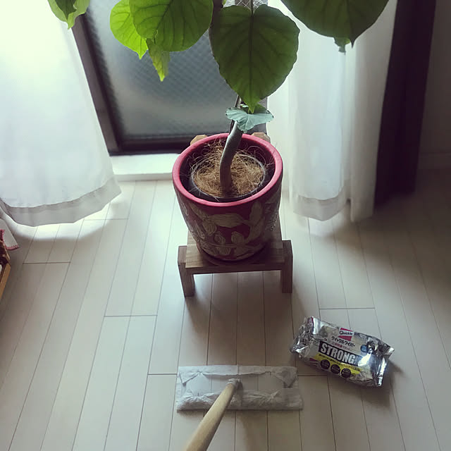 izuboさんの実例写真
