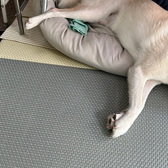 tanboさんの部屋
