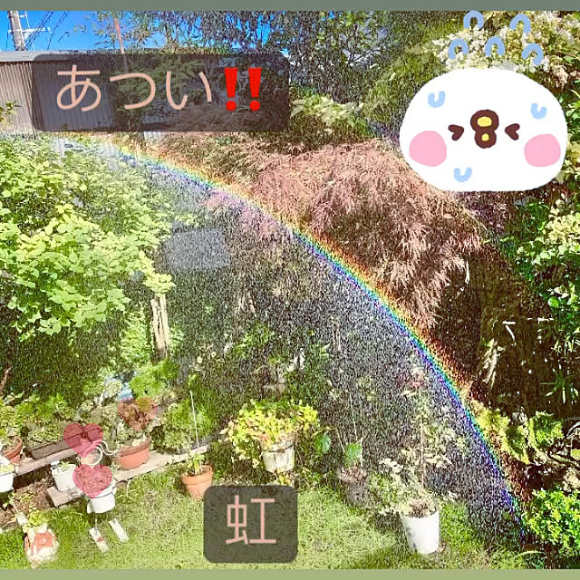 takakoさんの実例写真