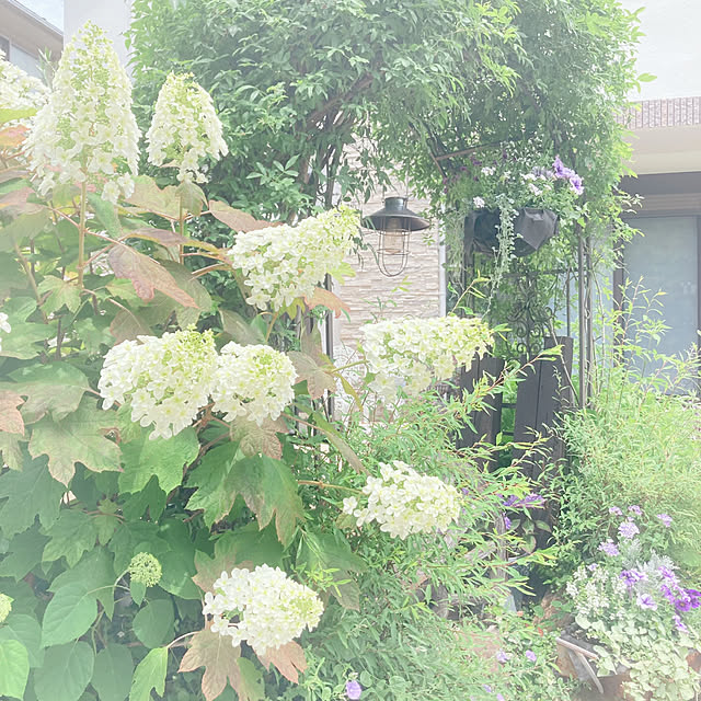 soraさんの部屋