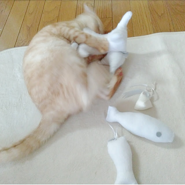 heart.emiemi57.whiteさんの実例写真