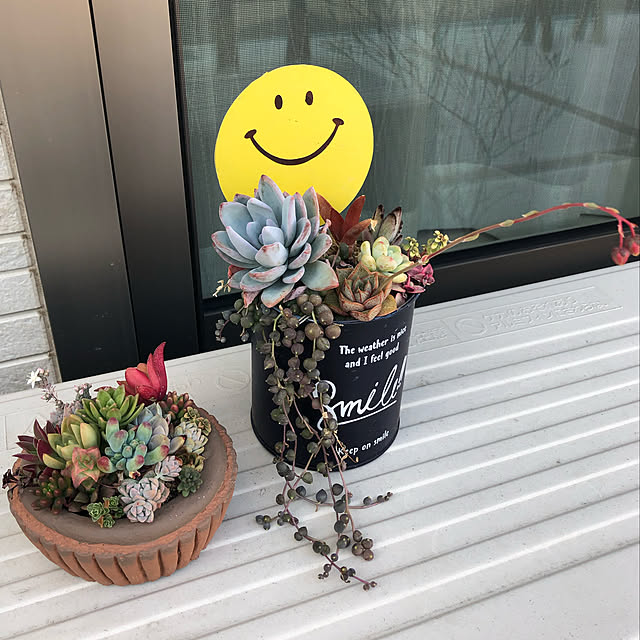 q.o.pさんの実例写真