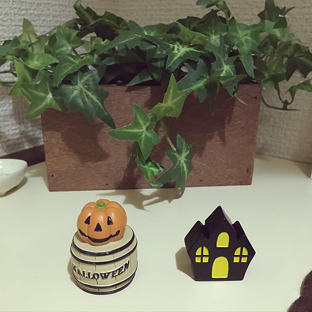 sadaharuwasabiさんの実例写真
