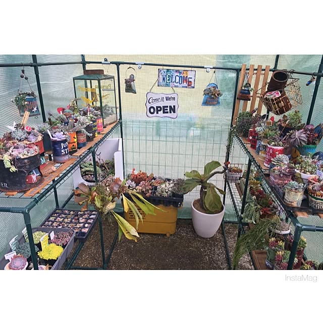 bon-bon-hippieさんの実例写真