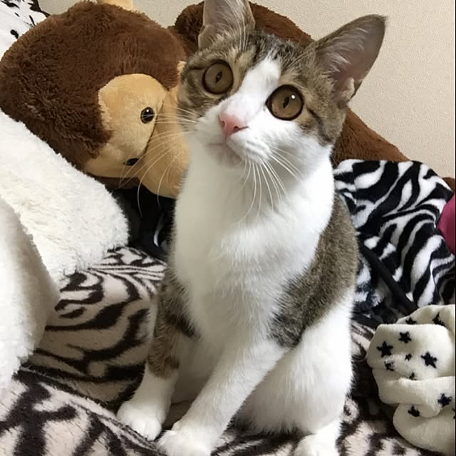 yuuuunaさんの実例写真
