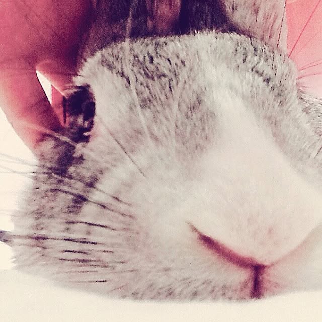 MARIさんの実例写真