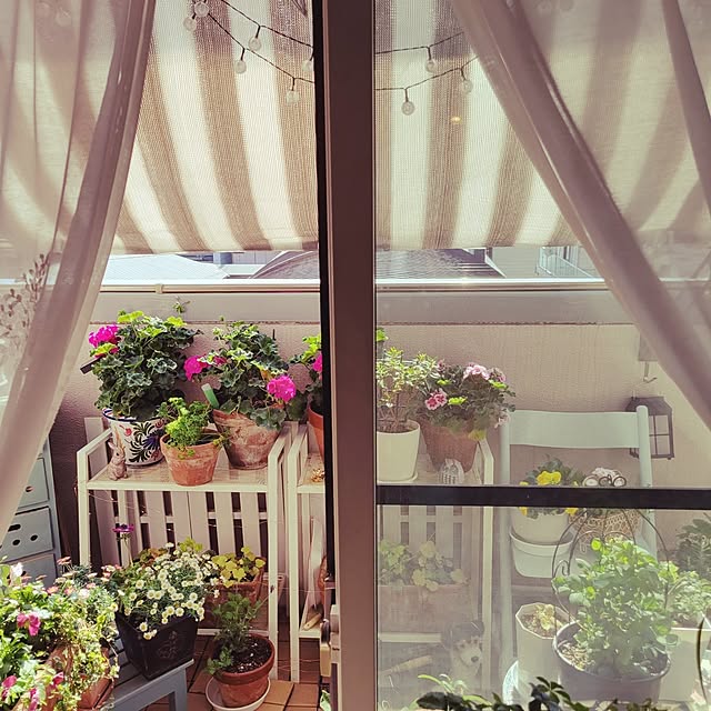 berryberryさんの部屋