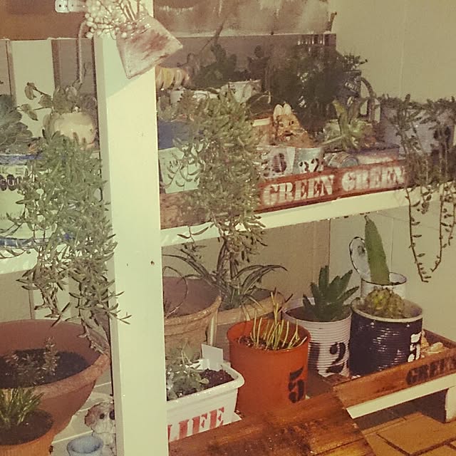 shs1019shsさんの実例写真