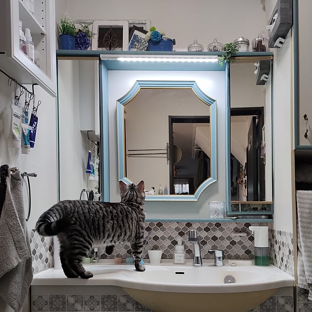 hiro3さんの部屋