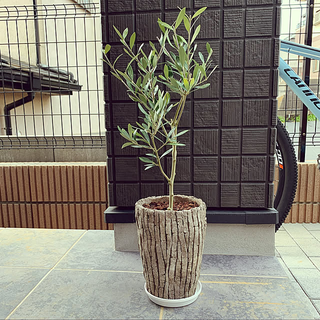 berryさんの実例写真