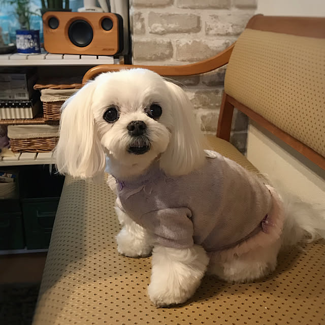 Sonokoさんの実例写真