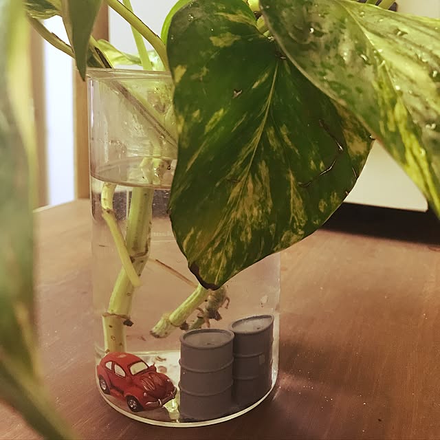 Nisitaniさんの実例写真