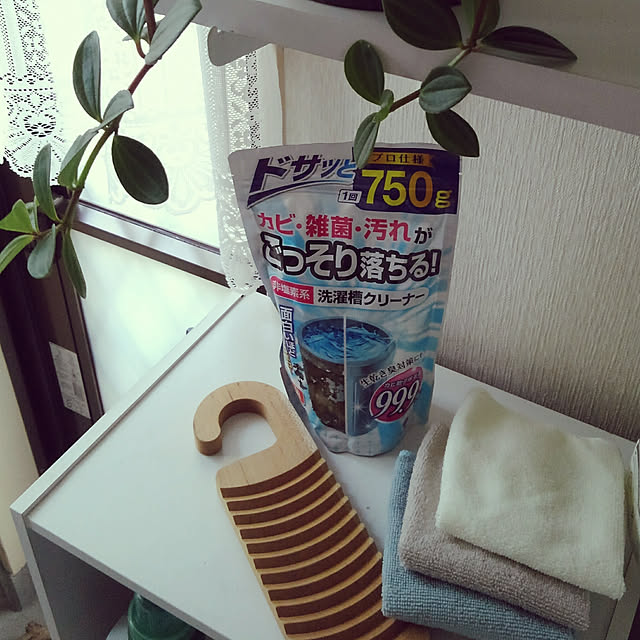 Renさんの実例写真